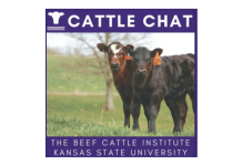 Podcast: “Guest: Dr. Cassandra Olds, Theileria, Theileria Transmission, Winter Feeding Strategies”